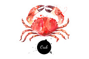 Watercolor Sketch Seafood Vector Set, an Animal Illustration by Elena Pimonova (Thumbnail 2 of 4)