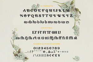 Angon - Retro Serif Font