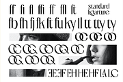 Locrian - A Chic Serif Font, a Serif Font by Mofr 24 (Thumbnail 10 of 12)