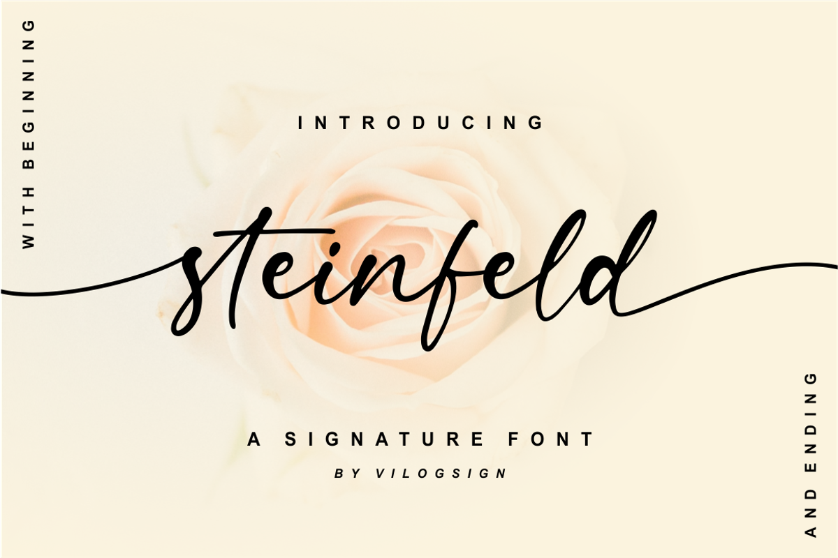 Steinfeld a Handwritten Font, a Script Font by Vilogsign (Photo 1 of 11)