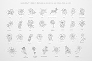 Botany & Moon. Hand Drawn Line Art., a Decorative Illustration by Designwork (Thumbnail 5 of 20)