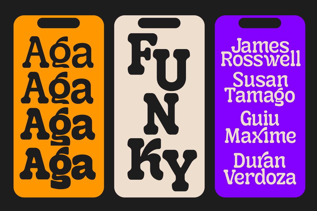 Mondwild - 7 Variable Modern Retro, a Serif Font by Dharmas Foundry (Photo 4 of 15)