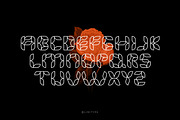 Florisa - Flowers font, a Font by limitype (Thumbnail 5 of 8)
