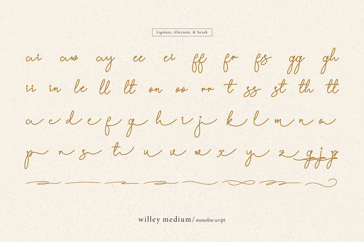 Willey Medium | Monoline Script Font, a Script Font by Denustudios (Photo 16 of 16)