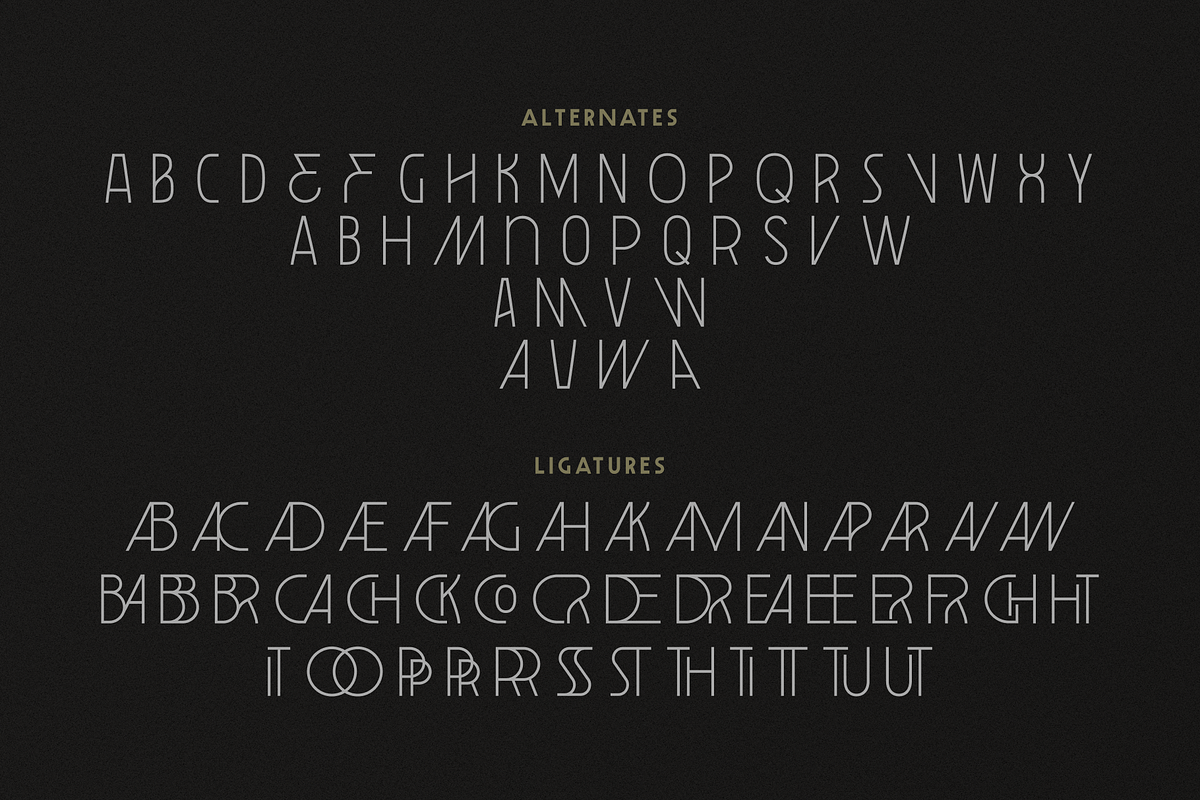 Leonidas Sans - Variable Weight Font, a Sans Serif Font by Eagle & Bison Design Co. (Photo 11 of 11)