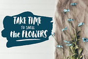 Florista Brushed Font Duo, a Script Font by Anna Ivanir (Thumbnail 2 of 12)
