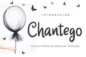 Chantego - Fun Handwritten Fonts