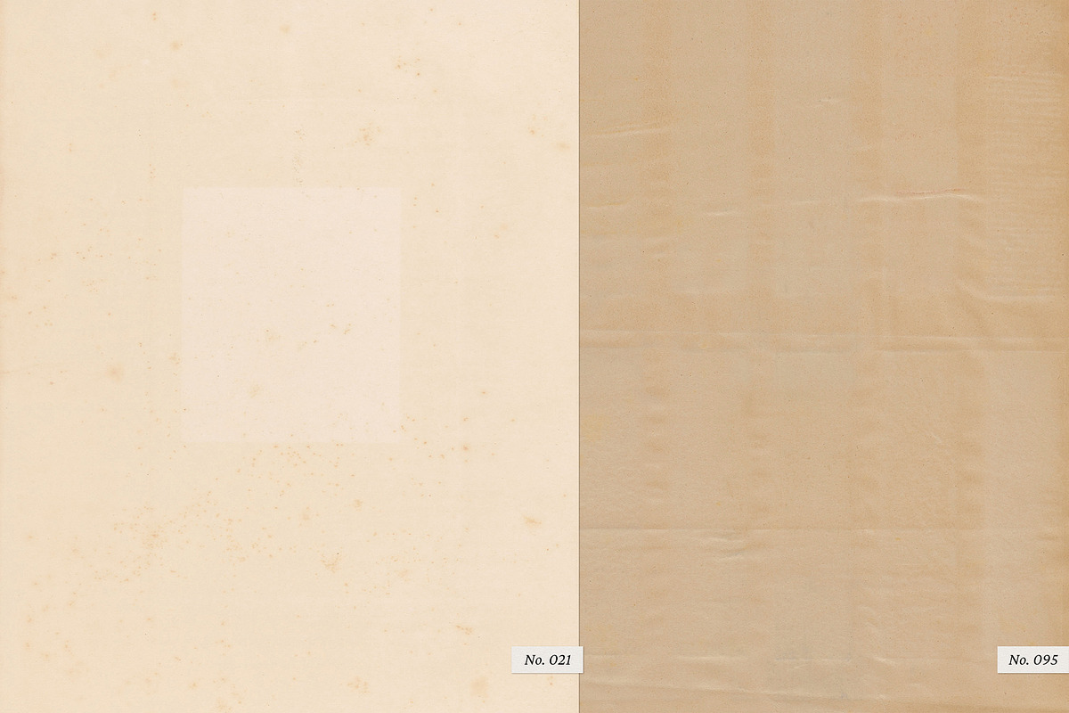 The Antiquarian Paper Archive, a Texture Graphic by Dina Mae (Photo 10 of 19)