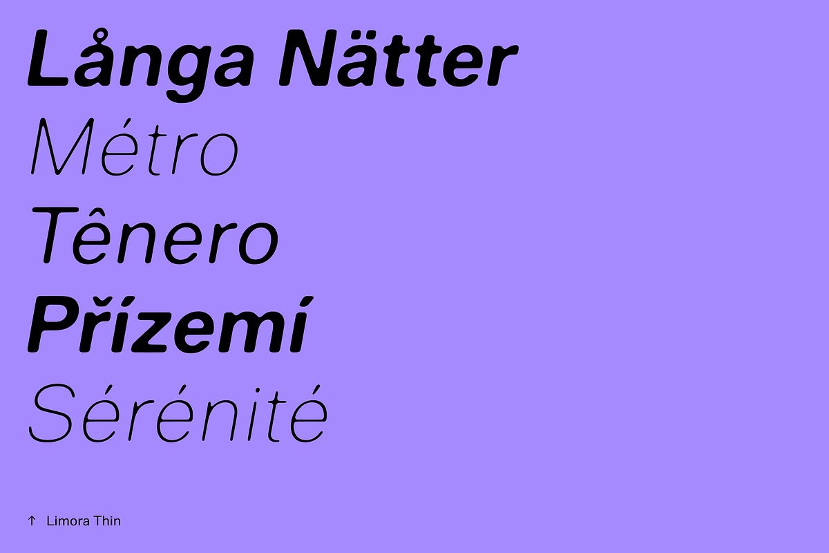 Limora, a Sans Serif Font by Nameless Type Foundry (Photo 8 of 10)