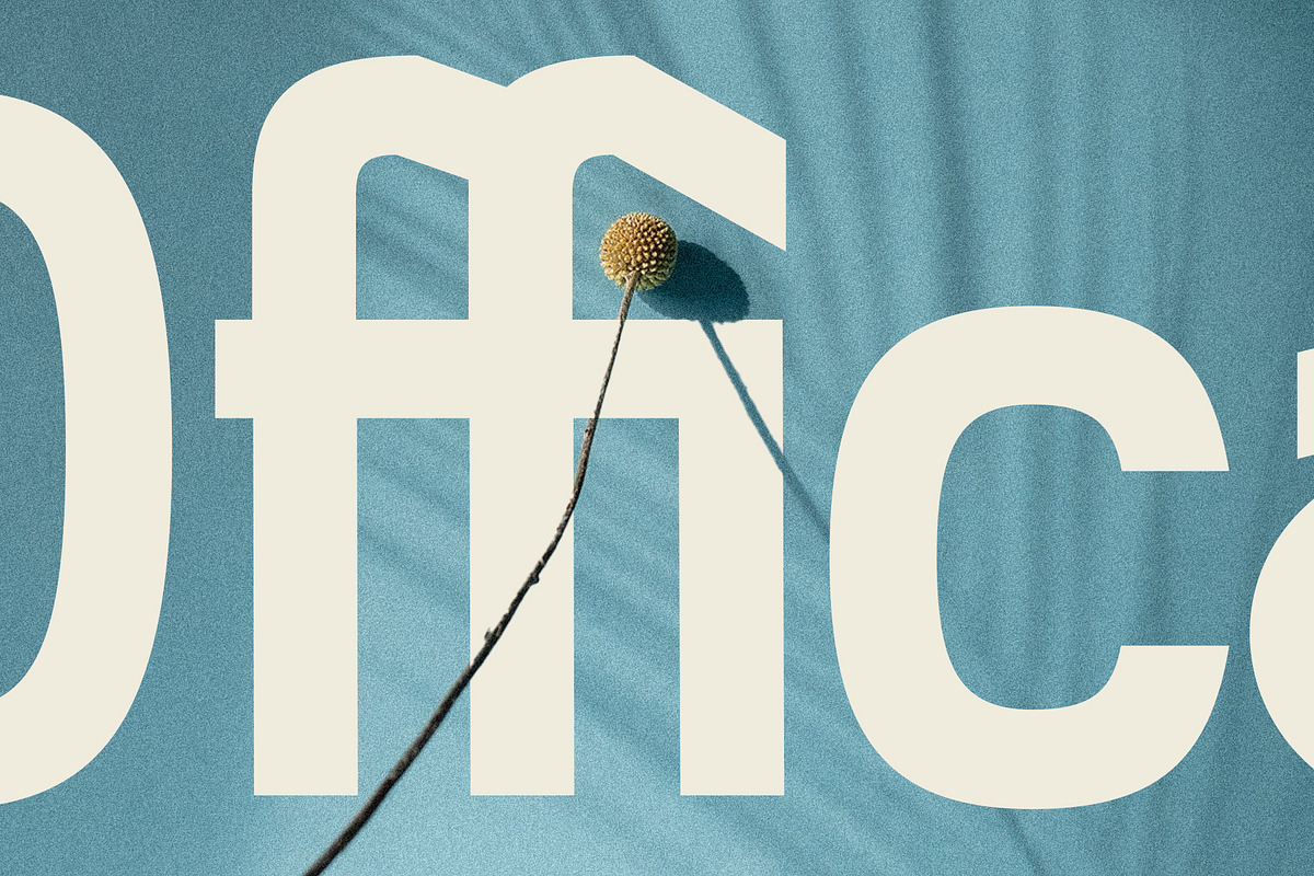Baroque Grotesk - Ultra Bold Font, a Sans Serif Font by SilverStag Type Foundry (Photo 18 of 20)