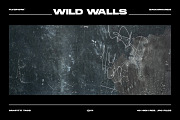 Wild Walls - Urban Backgrounds, a Background Graphic by FLYERWRK (Thumbnail 7 of 8)