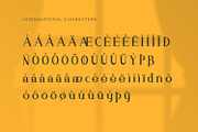 Ashfield - Serif Typeface Font, a Serif Font by Rishsketch (Thumbnail 15 of 15)