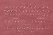 Quentine – Elegant Calligraphy Font, a Script Font by Krismagraph (Thumbnail 10 of 10)