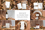Autumn Device Mockup Phone fall2, an iPhone Mockup by PawMockups (Thumbnail 7 of 10)