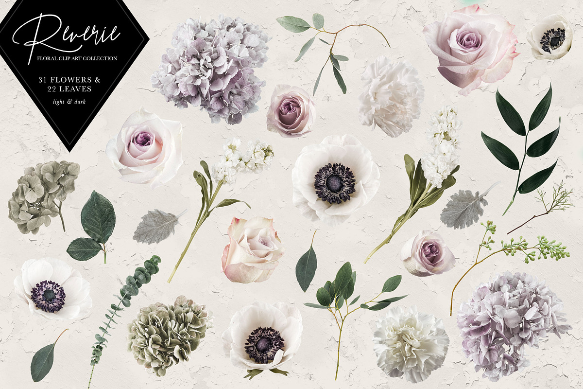 Reverie Floral Clip Art Collection, an Object Graphic by Eclectic Anthology (Photo 19 of 21)