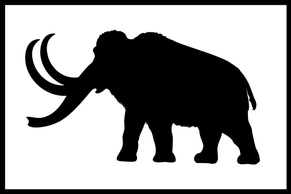 Set 25 silhouettes extinct animals, an Icon by kozyrevaelena (Photo 2 of 4)