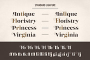 Reglona - High Contrast Serif, a Serif Font by iqbal habibi (Thumbnail 4 of 14)