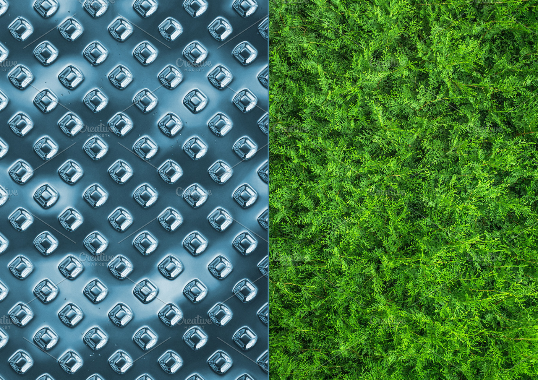 Metal and green plant texture in one, an Abstract Photo by BOOCYS