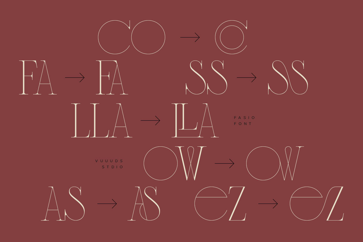 Fasio Font, a Serif Font by vuuuds (Photo 3 of 15)