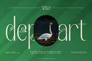 Redivola Typeface, a Sans Serif Font by alit design (Thumbnail 3 of 15)