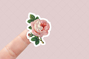 Sticker mockup, a Product Mockup by Dorado Stock (Thumbnail 5 of 8)
