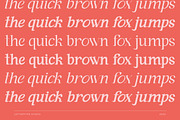 Andaman an Experimental Serif Font, a Serif Font by Lettertype Studio (Thumbnail 9 of 15)