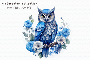 Owl Watercolor Clip Art