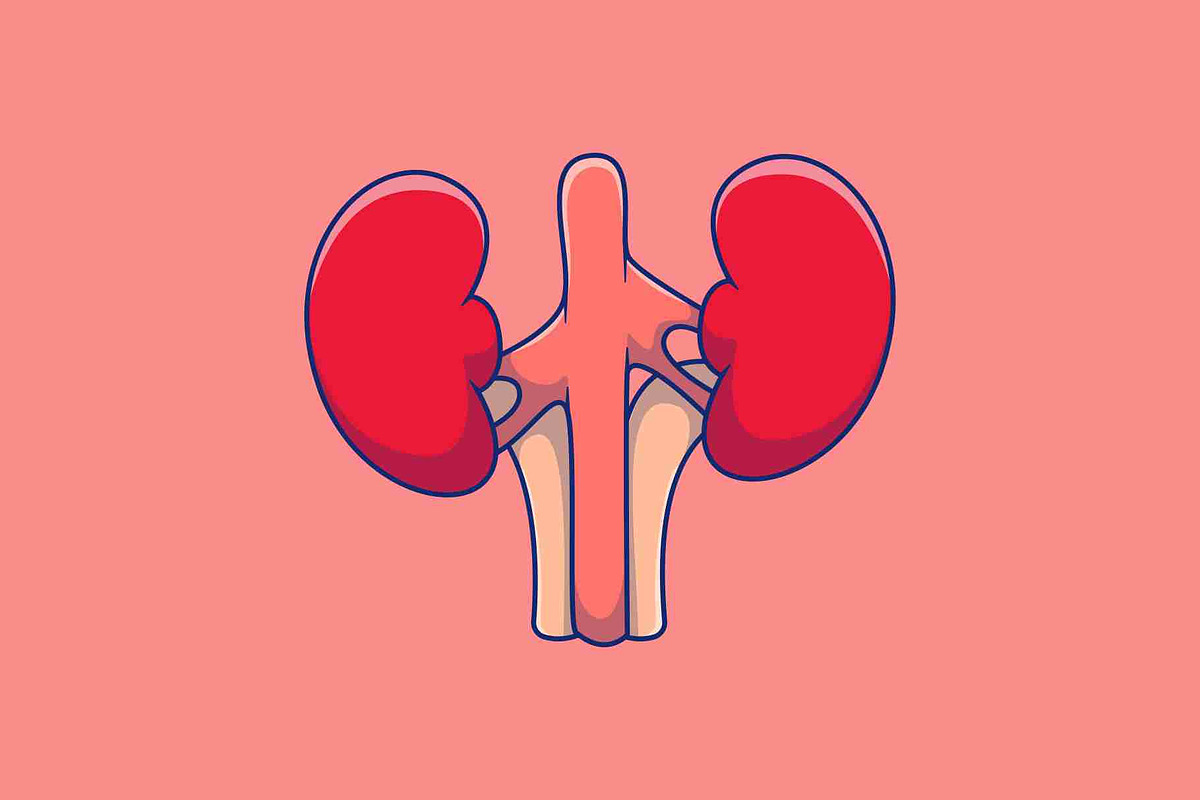 Kidney Cartoon Vector Icons, a Person Illustration by Artstorystudio (Photo 2 of 3)
