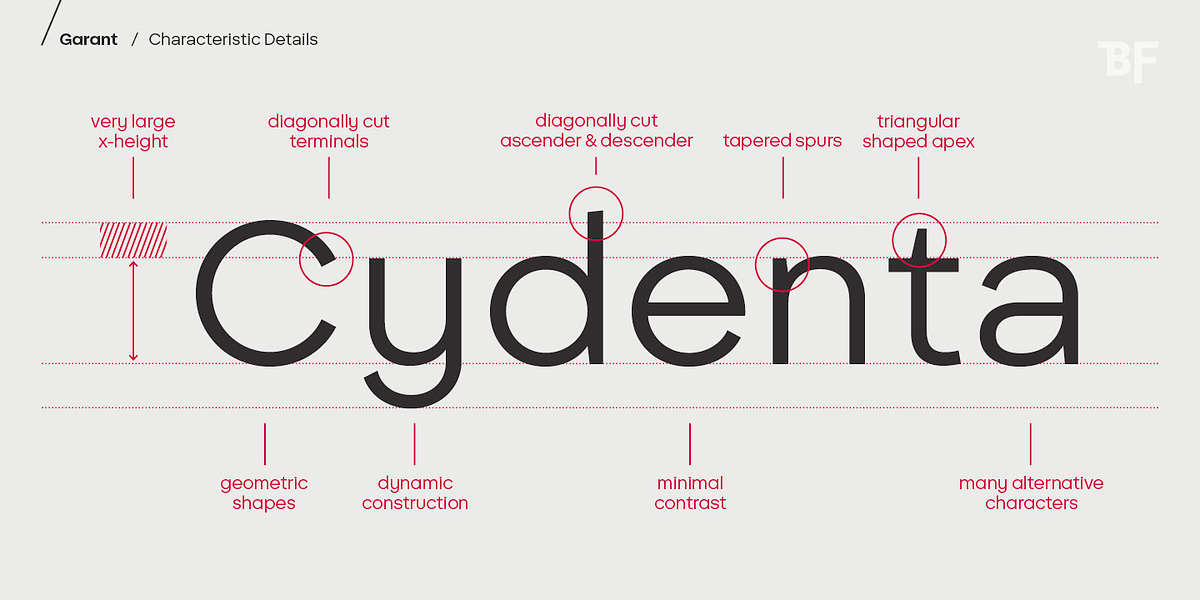 BF Garant, a Sans Serif Font by BrassFonts (Photo 6 of 14)