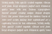Rasmien | Elegant Serif Font, a Serif Font by Denustudios (Thumbnail 9 of 13)