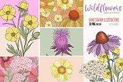 Wildflowers Clipart Flower Graphics, a Decorative Illustration by SLS Lines (Thumbnail 1 of 6)