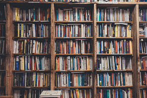 Bookshelf Full of Books
