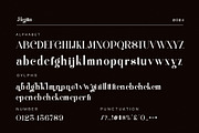 Megifin Beautiful Ligature Serif, a Serif Font by Alfinart (Thumbnail 10 of 10)