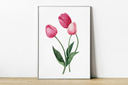 Watercolor tulips clipart bundle, an Object Graphic by MiraBell (Thumbnail 5 of 5)