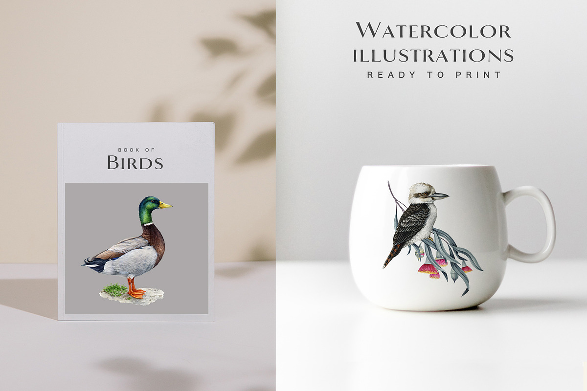 Birds Watercolor Painted Set, an Animal Illustration by AnitaPol (Photo 12 of 18)