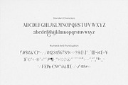 Maglift serif 200+ ligature collecti, a Serif Font by suhadidesign (Thumbnail 11 of 11)