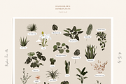 Cozy Home Decor Creator, a Decorative Illustration by William Hansen (Thumbnail 7 of 9)