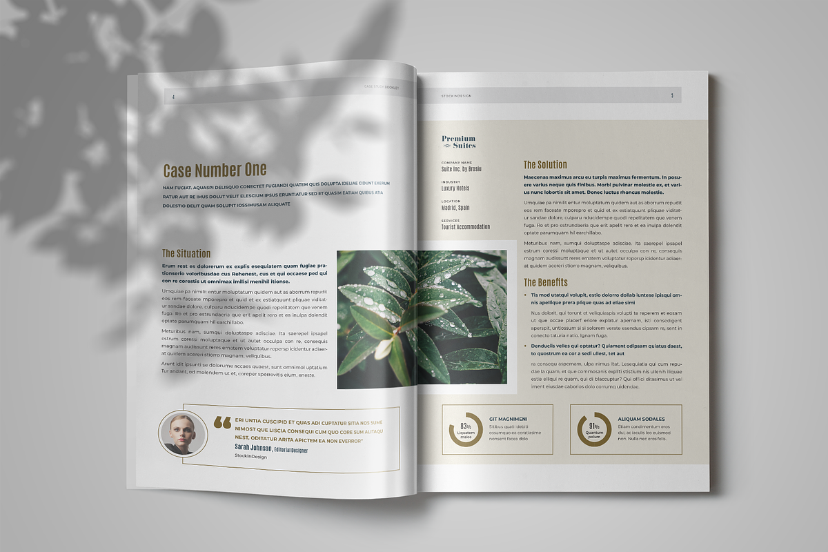 Case Study, a Templates & Theme by StockInDesign (Photo 2 of 8)