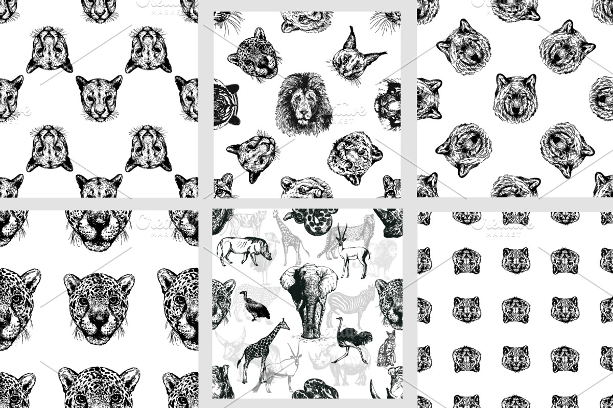 Animal Faces, an Animal Illustration by Ecaterina Sciuchina (Photo 6 of 7)