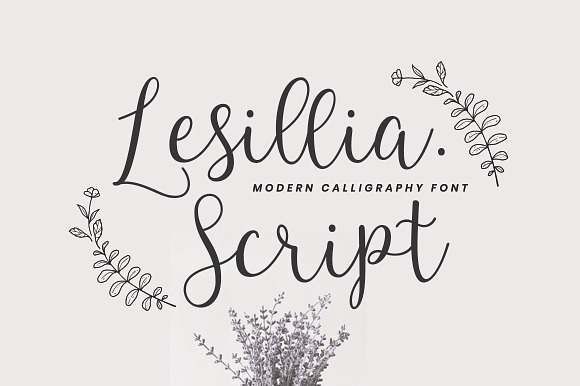 Lesillia Script preview 8