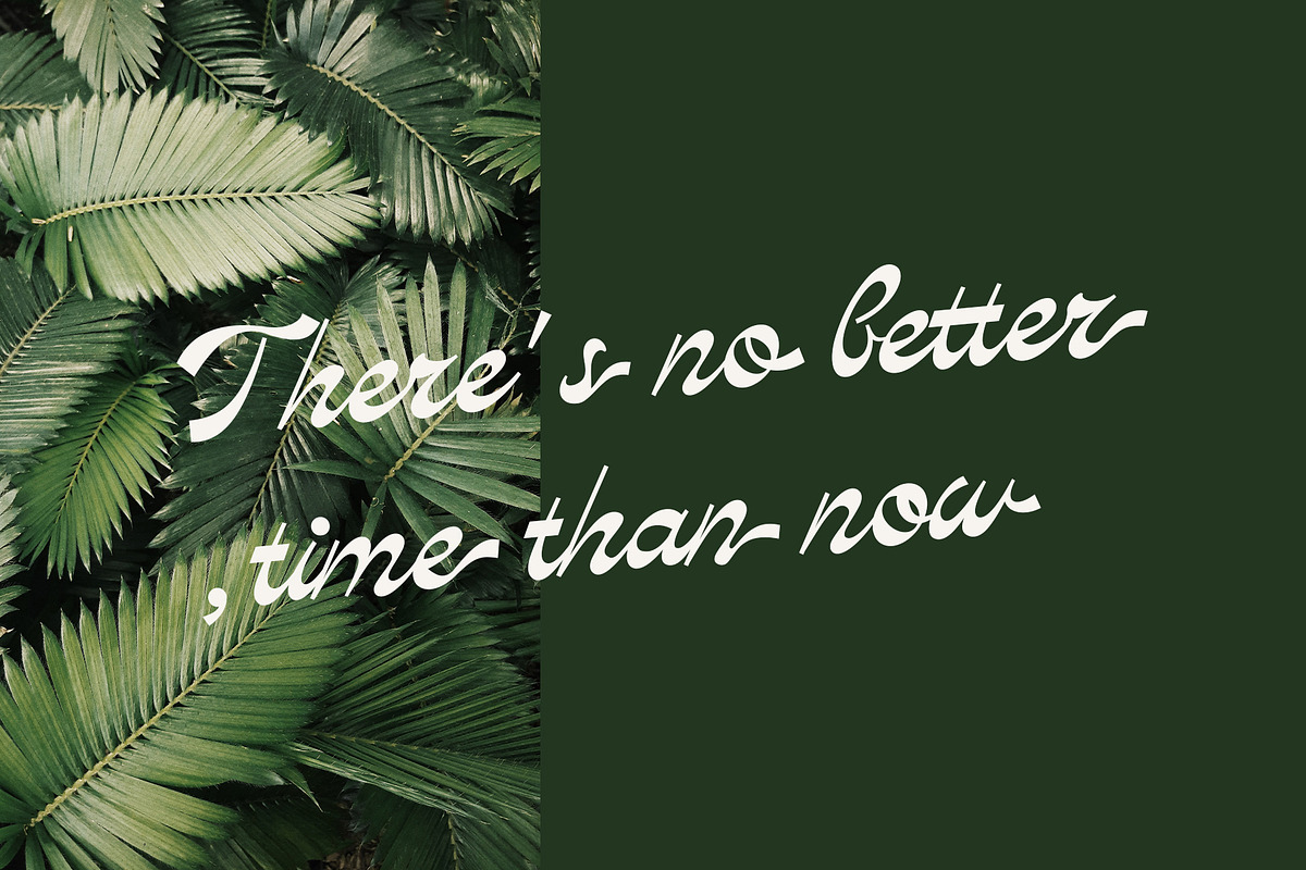 Palmdale Script, a Script Font by Emyself Design (Photo 3 of 12)