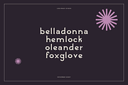 November Guest - An Edgy Serif, a Serif Font by Like Magic Studio (Thumbnail 7 of 10)
