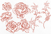 Graphic TERRACOTA Wedding Collection, an Object Graphic by Knopazyzy (Thumbnail 13 of 14)