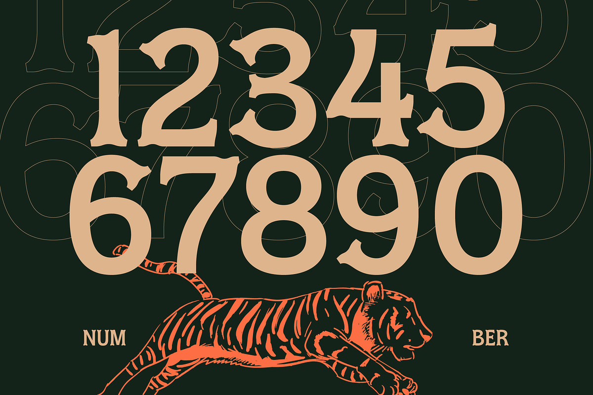 Locatro Western Display Serif, a Serif Font by timelesstype.co (Photo 9 of 15)
