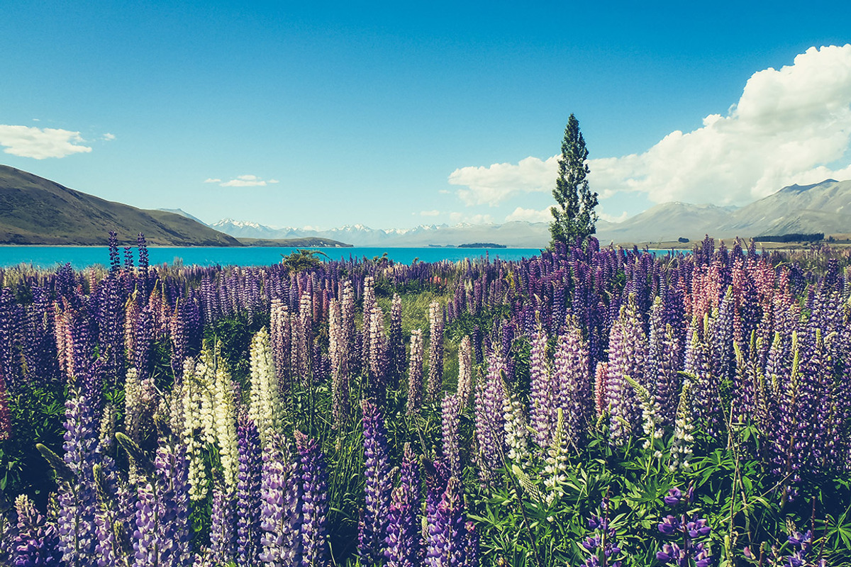 Landscape Lightroom Presets preview 5