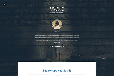 Sinulle | Fullscreen Wordpress Theme