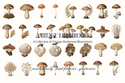 Vintage Mushroom Illustrations, a Decorative Illustration by youtoview (Thumbnail 5 of 13)