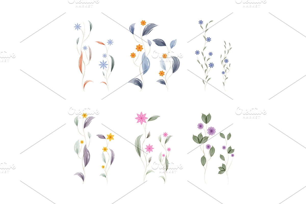 Watercolor botanical leaf and flower, a Texture Illustration by okskukuruza
