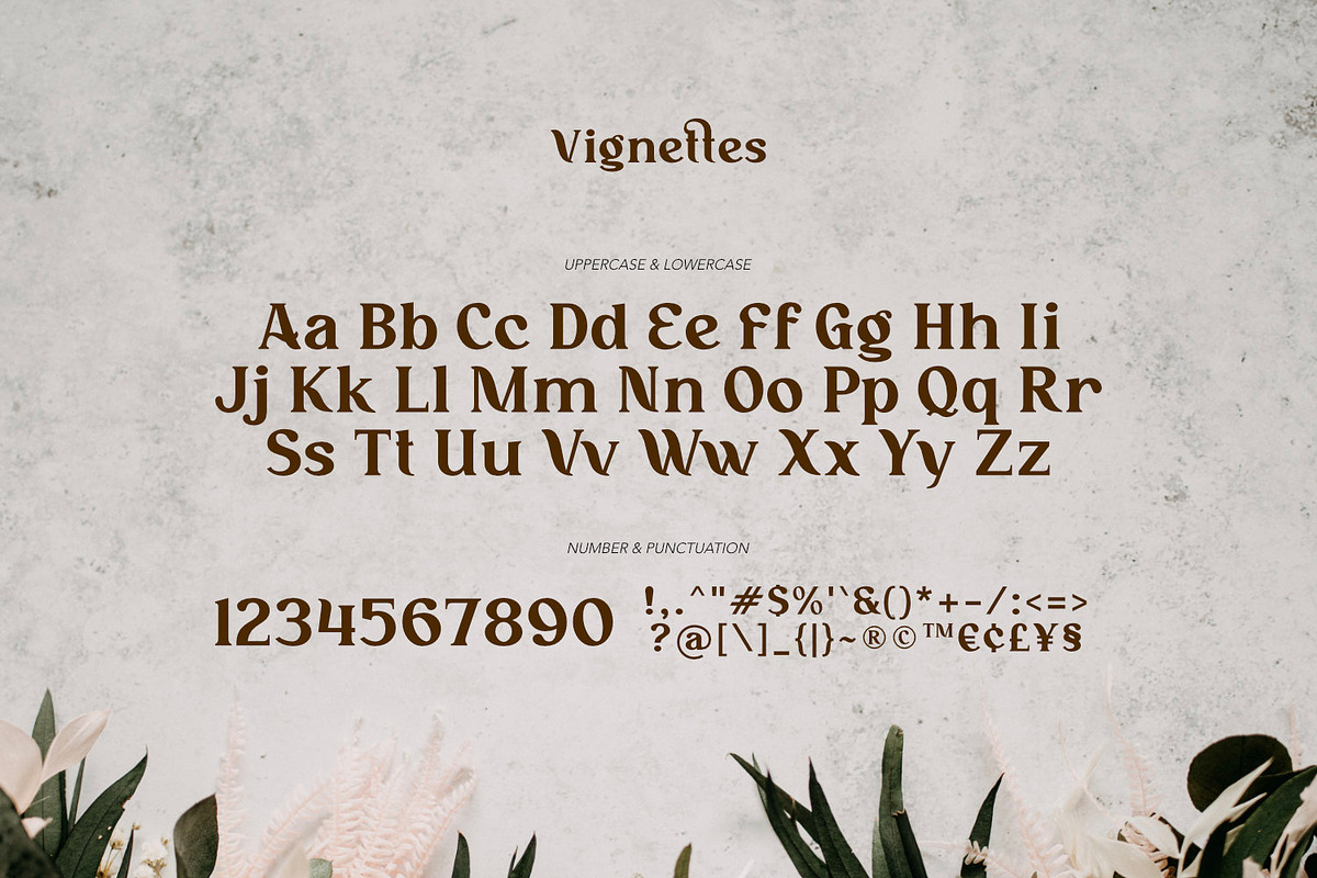 Vignettes - Feminine Type, a Serif Font by ikiiko (Photo 6 of 8)
