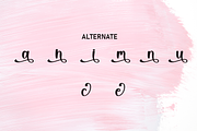 Brush Barbie | Script Font, a Handwritten Font by Scratchones (Thumbnail 7 of 9)